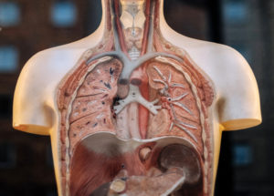 Respiratory
