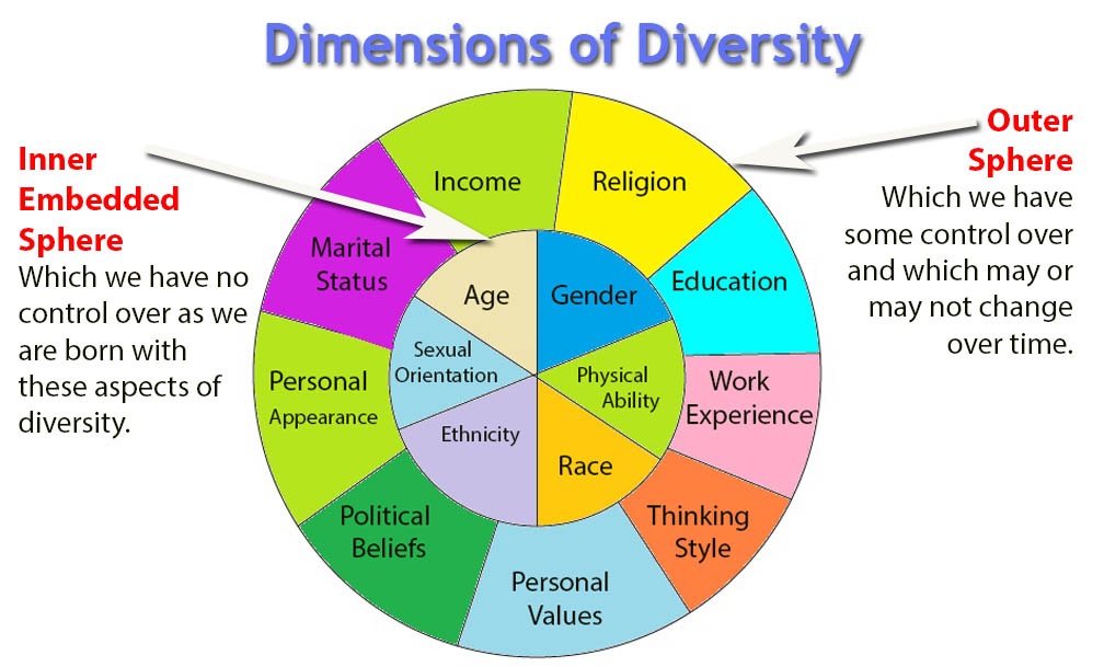 diversity wheel essay