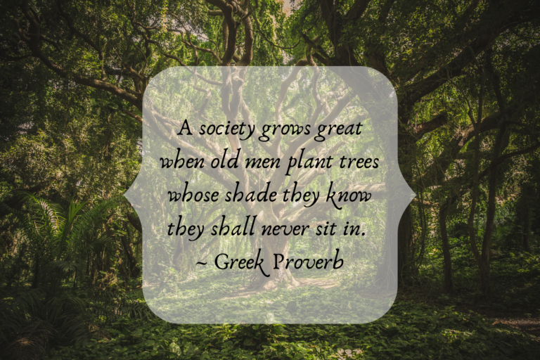 National Tree Day Sydney University Anthology