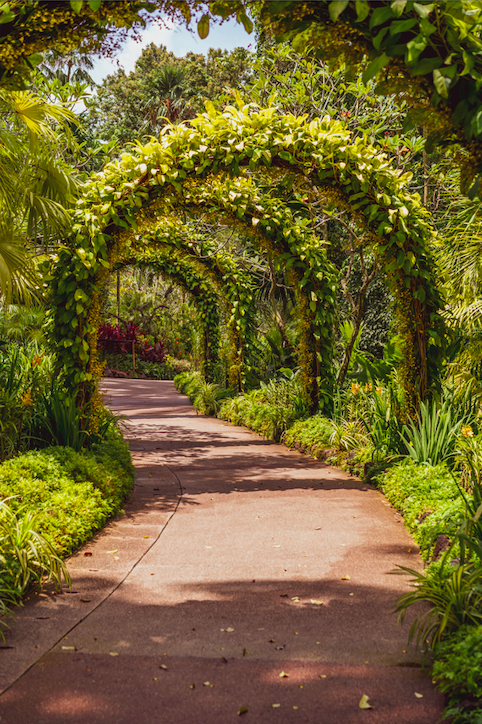 The archway